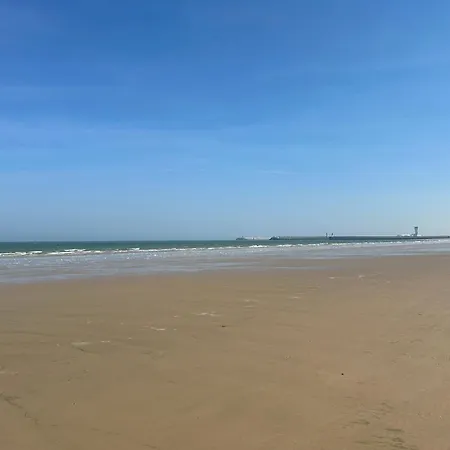 L'horizon D'opale - Face